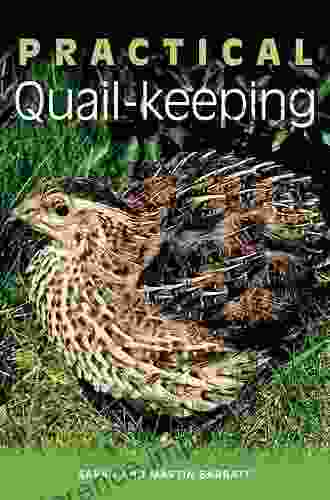 Practical Quail Keeping