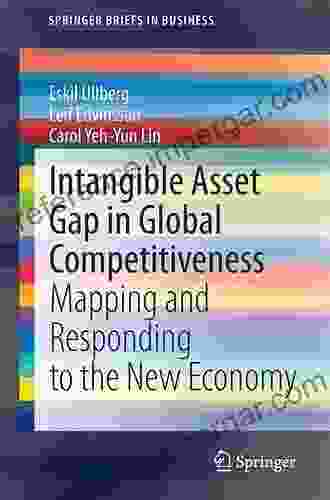 Intangible Asset Gap In Global Competitiveness: Mapping And Responding To The New Economy (SpringerBriefs In Business)