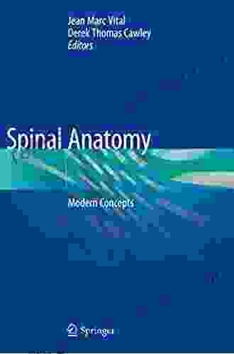 Spinal Anatomy: Modern Concepts