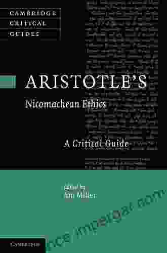 Wittgenstein S Philosophical Investigations: A Critical Guide (Cambridge Critical Guides)