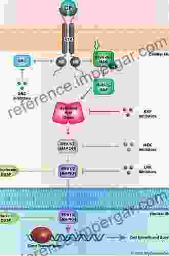 Unravelling Cancer Signaling Pathways: A Multidisciplinary Approach