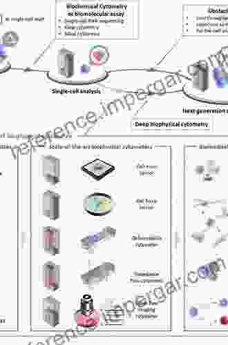 Cellular Biophysics And Modeling: A Primer On The Computational Biology Of Excitable Cells