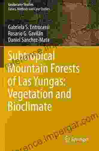 Subtropical Mountain Forests Of Las Yungas: Vegetation And Bioclimate (Geobotany Studies)