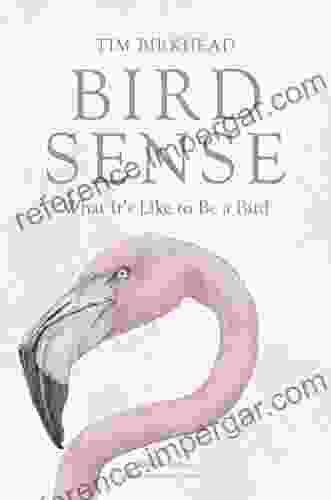 Bird Sense: What It S Like To Be A Bird